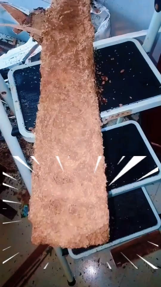 A termite mud tube running up a metal frame inside a customer's property